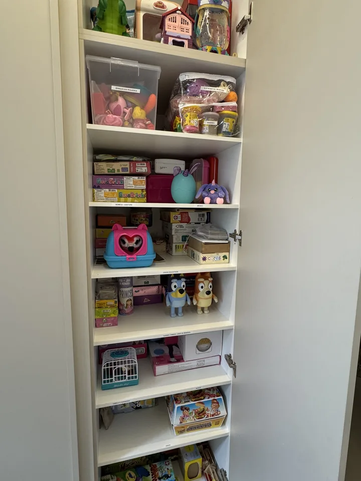 Armário de brinquedos com caixas etiquetadas por tipo de brincadeira, do jogo de tabuleiro à massinha